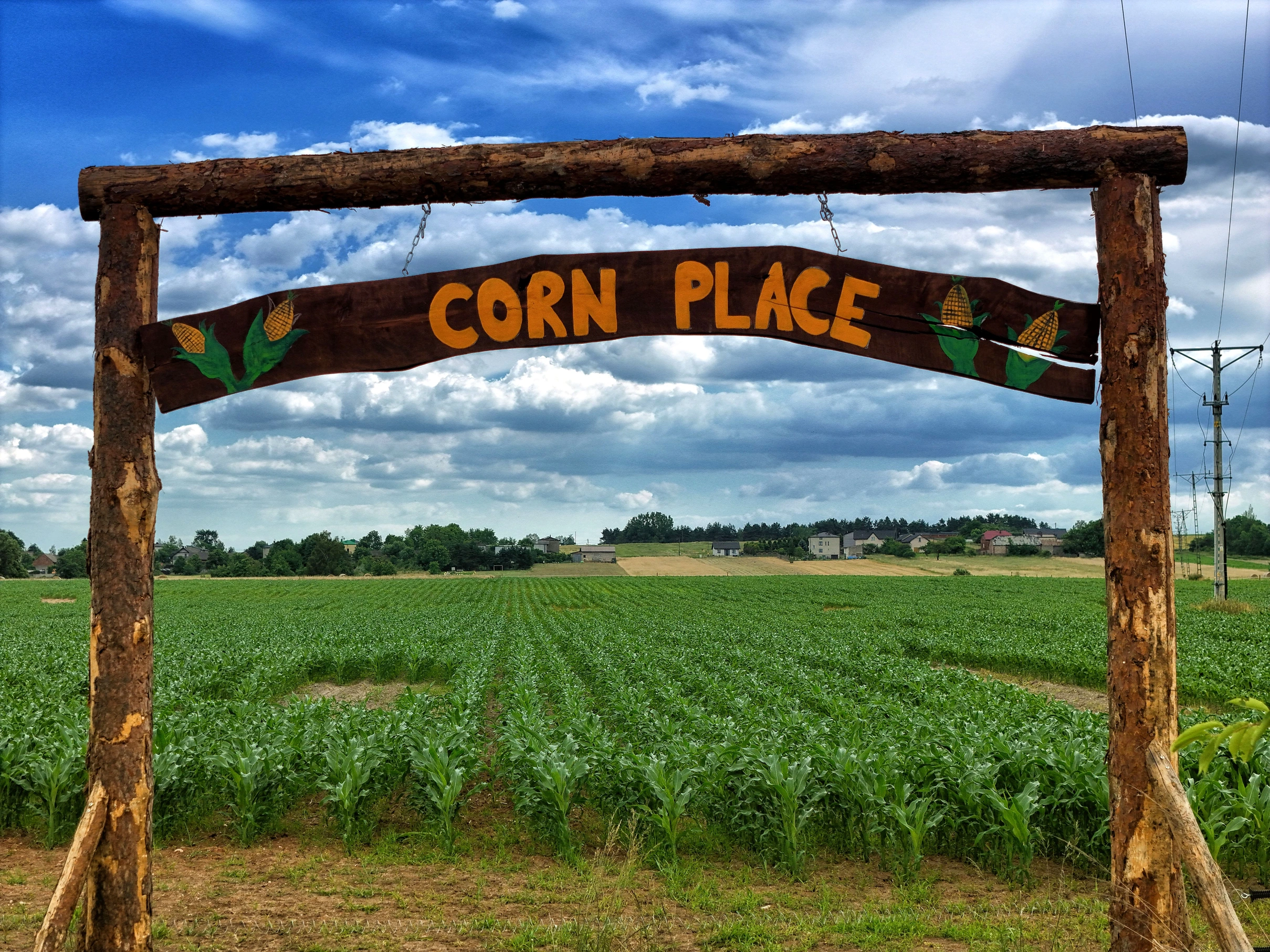 Corn Place - Labirynt w Kukurydzy Pińczyce k. Żelisławic